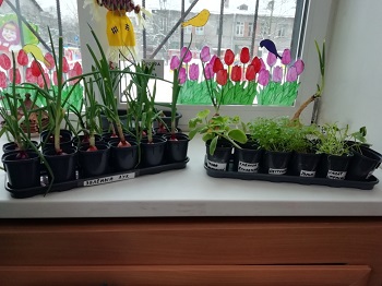 ogorod podg gr mart1